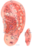 Auricular (Ear) Acupuncture